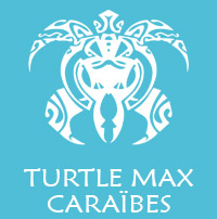 Turtle Max Caraîbes 
