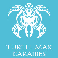 Turtle Max Caraibes